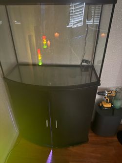 36 gallon bowl fish tank