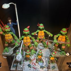 2008 NECA Mirage Comics Teenage Mutant Ninja Turtles Set with April