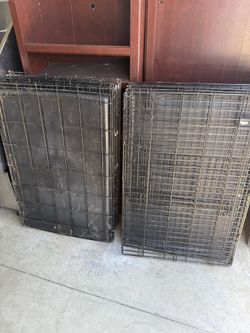 Large Dog Kennels