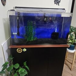 FISH TANK