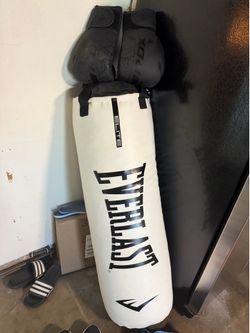 70 LBS Everlast Boxing Bag with RDX Boxing Gloves