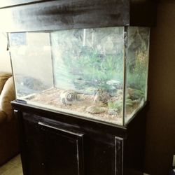 65 Gallon Fish Tank With Stand And Top
