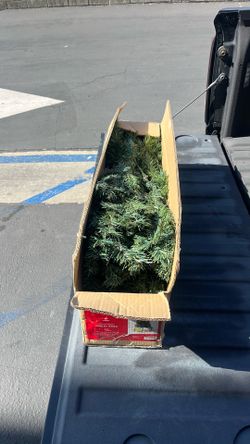 Xmas tree