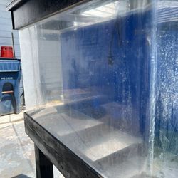 Fish Tank For Sell