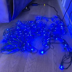 Christmas Net Lights  &  Cord Protectos