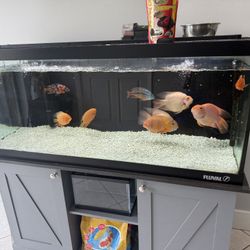 75 Gallon Fish Tank 