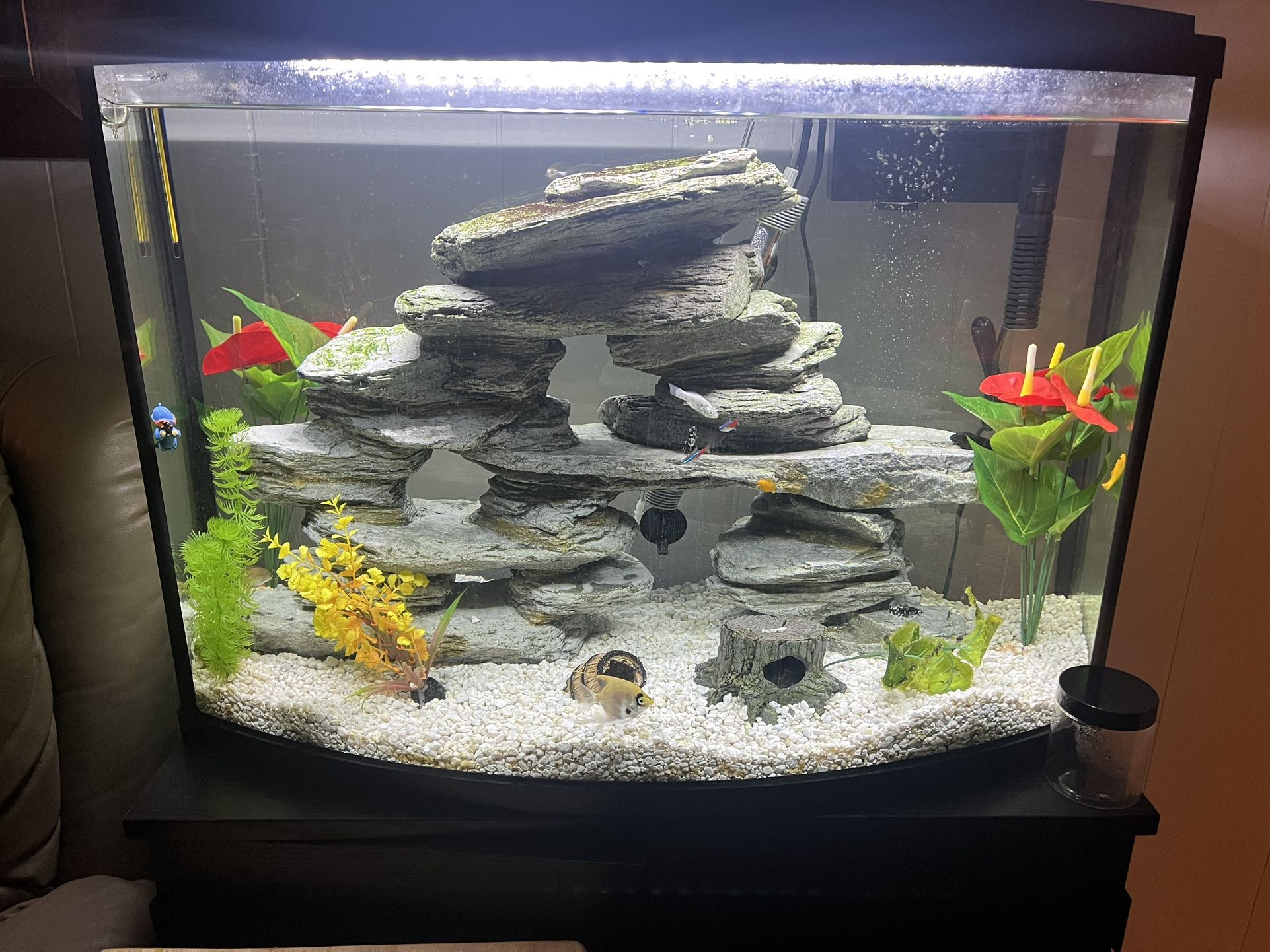 Aquarium Decor