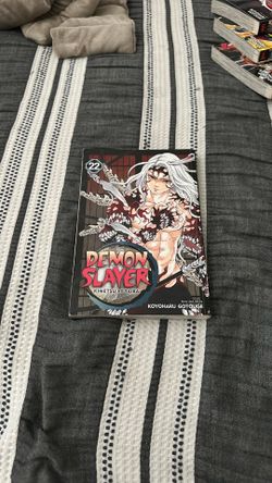 Demon slayer book 22