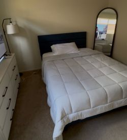 Queen Bed Frame $180