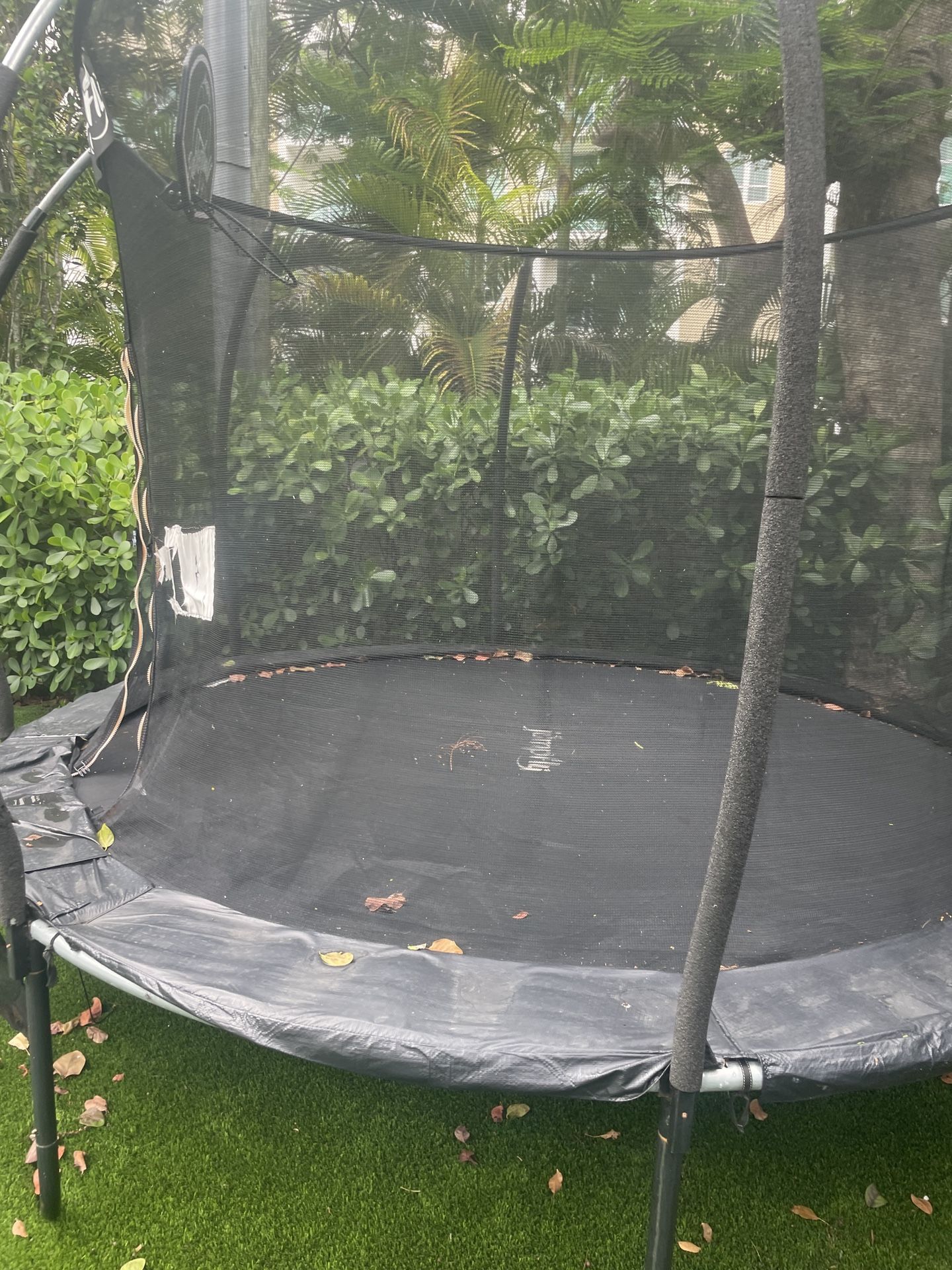 Trampoline & Pool Hoop
