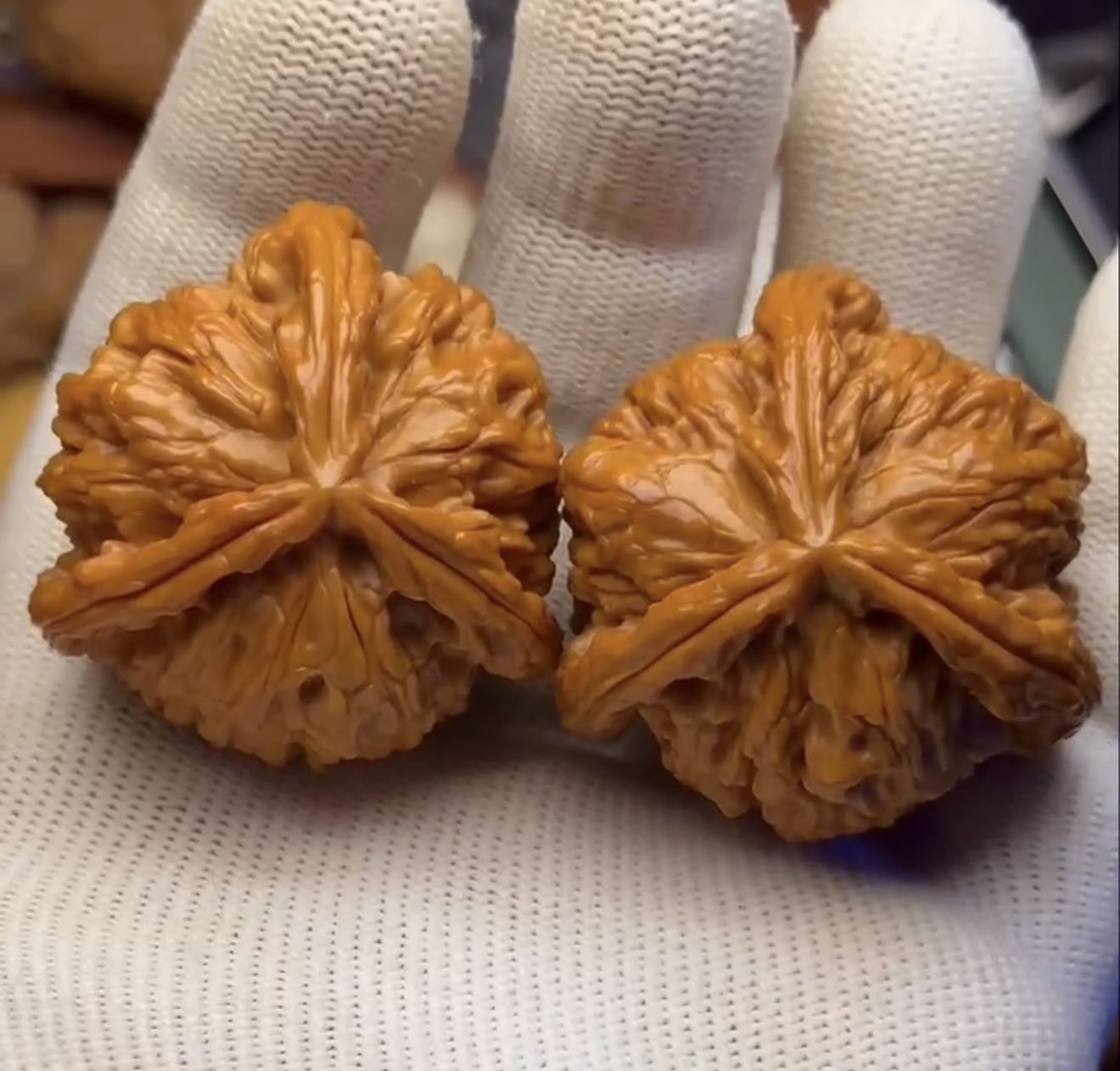 白狮子三菱正奔38尺文玩核桃Lion Head “Benz” WenWan Walnut