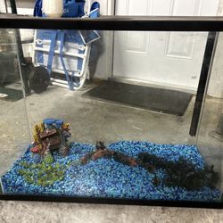 GIANT FISH TANK - if this post is up, its available