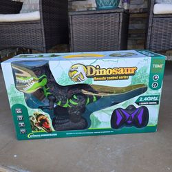 Remote Control Dinosaur (Temi)