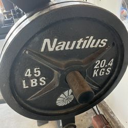Two 45lbs Olympic  Plates 