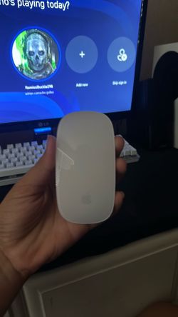 APPLE MOUSE