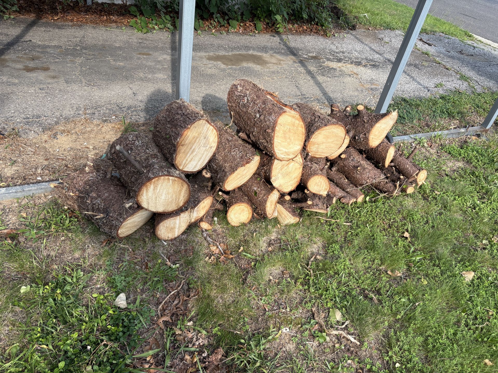 Free Firewood