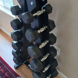 Inspire Dumbbells Set 5-30lb Weight Set.