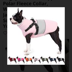 Small Dog Coat, Dog 