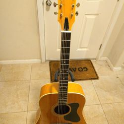 Vintage Madeira A-30M Acoustic Guitar, Spruce Top, Maple Body And Neck