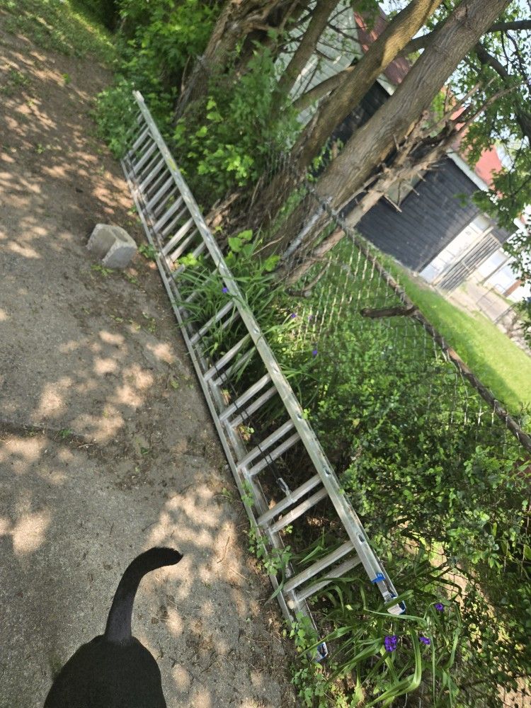 Ladder