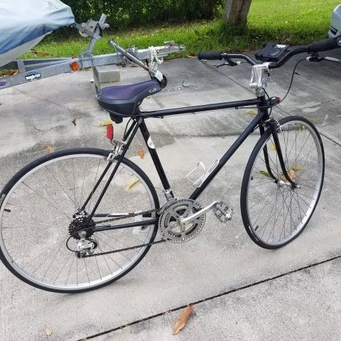 Adult Bike