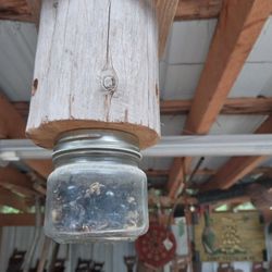 🐝 Carpenter Bee Traps  🐝  2 For $30 or 1 For $20