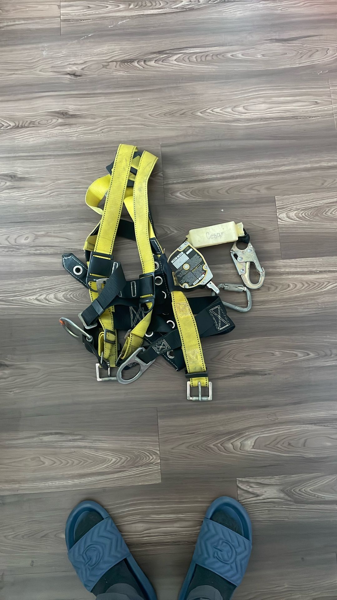 harness for sale