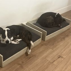 Dog Beds