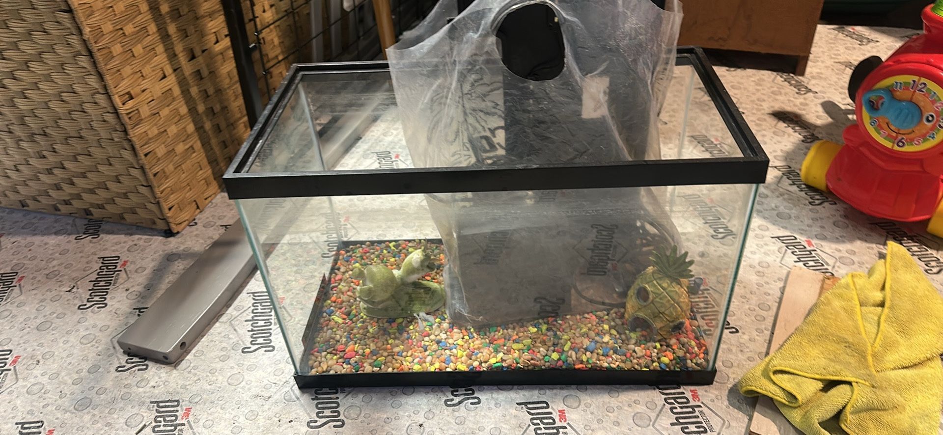 Fish Tank