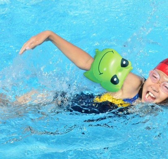 Pair Of Frog Arm Floats Brand New