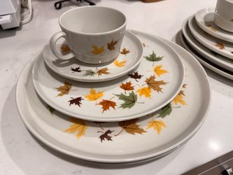 Franciscan china.  Indian Summer $10