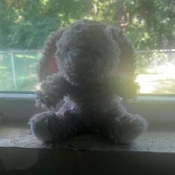 Jelly Cat For 32$ 