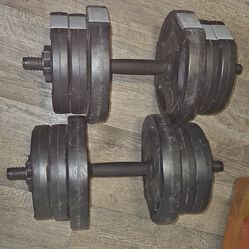 50 lbs weights