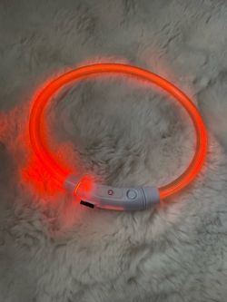 LED Light-Up Pet Safety Collar