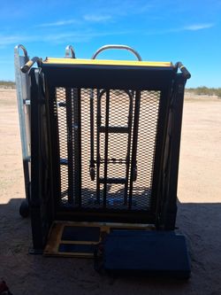 Braunability wheelchair lift/cargo lift