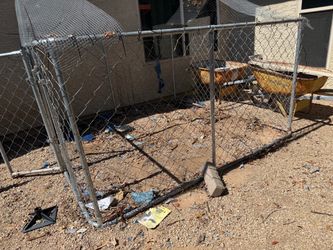 Dog kennel outdoors