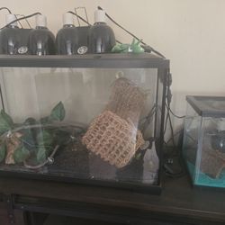 Aquarium 