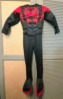 Spiderman into the spider verse costume size small
