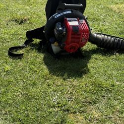 Troy-bilt leafblower 