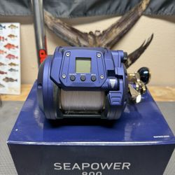 Daiwa Seapower 800 Electric Reel