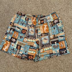 Patagonia Men’s Swim Suit