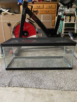 Reptile Tank
