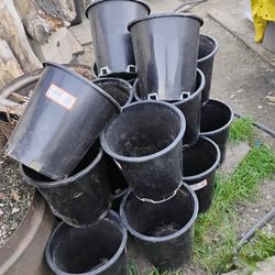 17 Botes De Plástico Todos Por 35