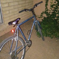 Wildwood Diamond Back Bike