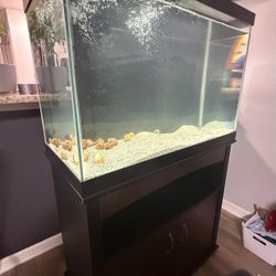 Aquarium 65 Gallons