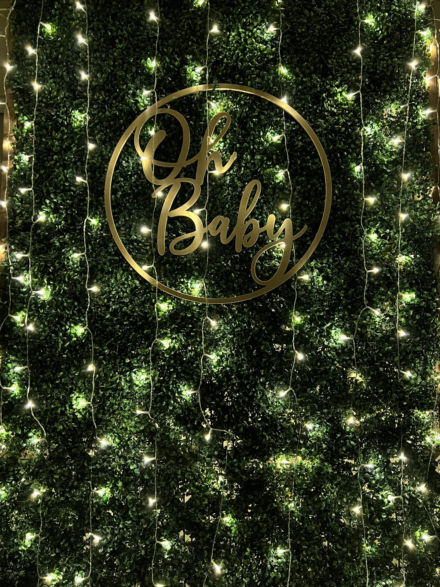 Photo Backdrop