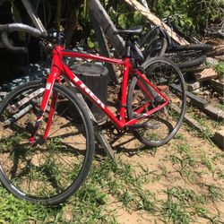 Trek Domane AL2 Bike