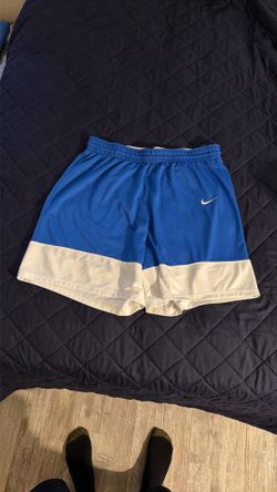 Nike Dri-Fit Shorts (XXL)