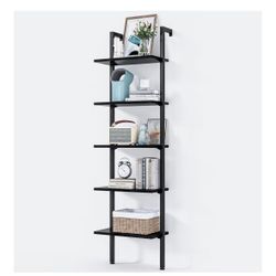 5 Tier Ladder Shelf