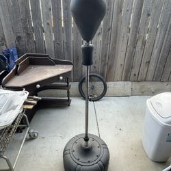 Reflex Punching Bag